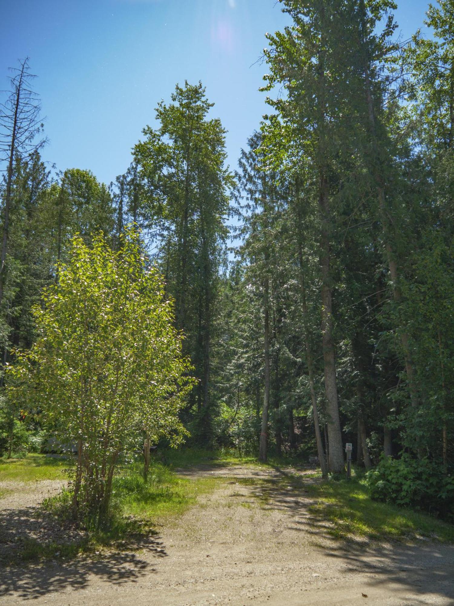 Noah'S Ark Campground Revelstoke Dış mekan fotoğraf